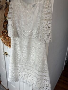 Giovanna Collection Laced Overlay Dress: Size 10 GORGEOUS